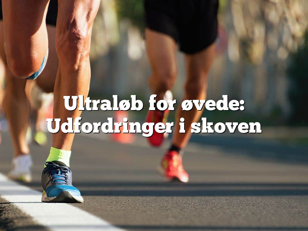 Ultraløb for øvede: Udfordringer i skoven