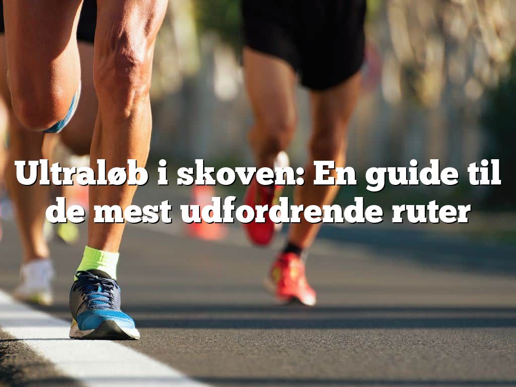 Ultraløb i skoven: En guide til de mest udfordrende ruter